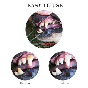 Raspador Dental para Perros, 3 Piezas, Acero Inoxidable, Doble Cabeza, Herramienta para Eliminar Sarro y Placa, Limpieza Profesional de Dientes para Mascotas - Product Image 3