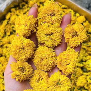 ชาดอกเบญจมาศเวียดนามแบบแห้งทั้งดอก สำหรับผสมเครื่องดื่ม ใช้ในธุรกิจบริการอาหาร ดอกตูมแห้งขายส่ง - Product Image 1