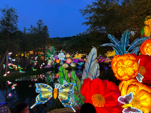 Праздничные светодиодные уличные фонари с рождественским мотивом для декоративного оформления Дивали и Нового года - Product Image 2