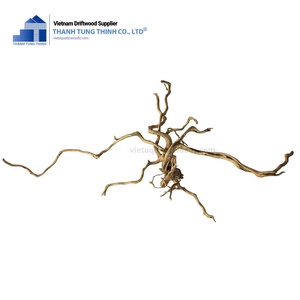 Meilleure Vente Décoration Naturelle en Bois Flotté Maison en Bois de Haute Qualité Énorme Bois Flotté pour Aquariums Vente en Gros Direct Fabricant Vietnamien - Product Image 6