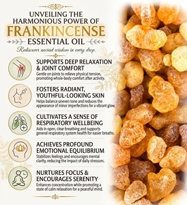 Huile Essentielle d'Encens Qualité Cosmétique – Approvisionnement en Gros pour Formulations de Soins Personnels, OEM, ODM, Emballage Marque Privée - Product Image 4
