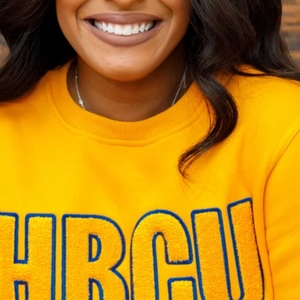Sudadera Personalizada SGRHO de Chenilla, Sudadera con Cuello Redondo para Mujer de la Hermandad Griega Sigma Gamma Rho, Sudadera Informal con Letras de Chenilla - Product Image 2