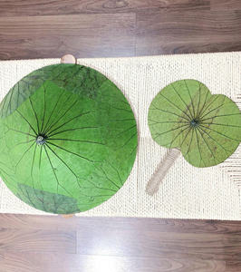 LOS ABANICOS DE MANO PLEGABLES CON FORMA DE HOJA DE LOTO SON PERFECTOS PARA EL VERANO Y EXCELENTE PARA DECORAR TIENDAS Y RESTAURANTES A UN BUEN PRECIO. - Product Image 4