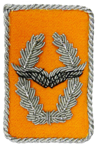 Épaulette brodée à la main de luxe de haute qualité avec fil de bullion, insigne de drapeau doré personnalisé - Product Image 6