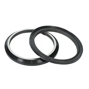Hydraulic Cylinder Seal Ptfe Carbon Filled Ptfe Rod Piston Oil Spring Energized Seal Energized Hydraulic Oil Seal Dlseals Oem