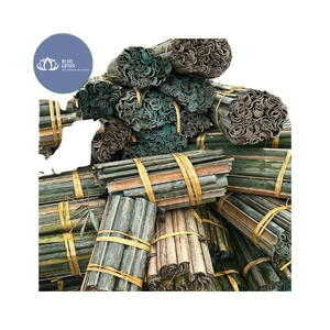 Postes de Bambú Ecológicos de Alta Calidad para Jardín, Soporte para Plantas, Bambú Azul Personalizable - Product Image 1