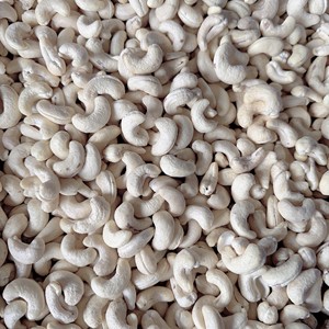 Trusted Supplier Raw Cashew <b>Nuts</b> WW180 WW240 Premium Quality Edible 2 Tons From Santigo Vietnam - Product Image 1