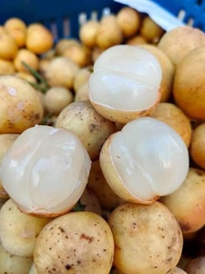 Fruta Long Kong Congelada de Grado Alimenticio, Suministro de Calidad Estable, Procesada de Forma Limpia, Sabor Natural - Product Image 4