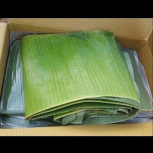Feuilles de bananier vertes naturelles, fraîches et congelées, 100 % biodégradables, emballage alimentaire de qualité export pour les États-Unis, l'UE, l'Australie et l'Asie Ms.May - Product Image 4