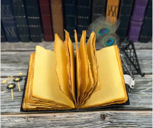 Journal en cuir véritable fait main avec motif papillon vert, cadran à cadenas vintage, carnet rechargeable, carnet de voyage, carnet de croquis - Product Image 4