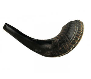 Vente chaude Naturel Décoré À La Main Corne De Bélier Shofar Facilement Disponible Offre Excitante Rosh Hashanah Corne De Kudu Yéménite - Product Image 4