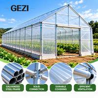 Serre commerciale à toit en pente, à simple travée, avec structure en acier galvanisé et couverture en film PE pour la culture de légumes, fleurs et cultures.