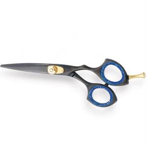Ciseaux de coiffure professionnels, lame en acier inoxydable, pointe fine, manche long, pour droitiers, manche en plastique, accents bleus - Product Image 1