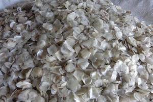Écailles de poisson VDELTA du Vietnam – Écailles de Tilapia décalcifiées et blanchies à l'oxygène – Meilleur prix / John - Product Image 6