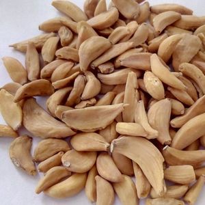 Ajo Deshidratado en Hojuelas, Ajo Seco Naturalmente para un Sabor Fresco en la Cocina, Condimento, Exportación a Granel desde India a Bajo Precio - Product Image 6