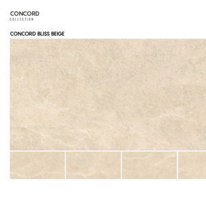 Carrelage en porcelaine mate sculptée de qualité supérieure 600x1200mm 60x120cm 24x48 pouces Grand format Surface texturée pour intérieurs contemporains - Product Image 1