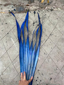 Décorations Esthétiques en Feuilles de Palmier Colorées en Gros – Feuilles Tropicales Séchées au Soleil, Art Mural Vibrant et Remplisseurs de Vases pour la Décoration Intérieure - Product Image 1