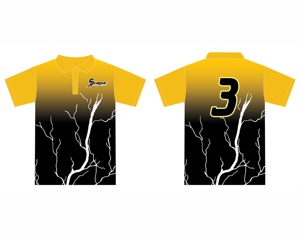 Polo pour homme 100% Polyester Respirant Sports Team Polo Shirt - Product Image 1