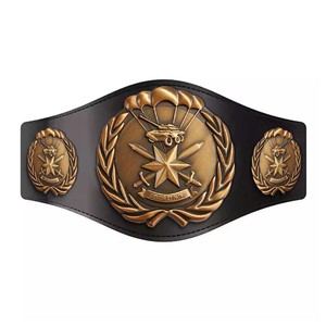 Professional Custom World Title <b>Boxing</b> Wrestling Belts Manufacturer for Sale Premium quality manufacturer in pakistan - Product Image 5
