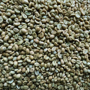 เมล็ดกาแฟโรบัสต้าออร์แกนิกจากเวียดนาม USDA เกรด 18 AA+ คุณภาพสูง ขายส่งโดยตรง ส่งออก แบล็คเบรกเกน 0.1% 1000 กก. - Product Image 1