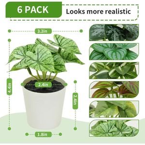 Set di 6 Piante Artificiali in Vaso Stile Fattoria per Casa, Ufficio, Soggiorno, Cucina, Aula, Tavolo, Scaffale, Scrivania - Decorazioni con Piante Finte - Product Image 4