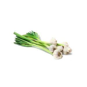 Ail frais pelé de qualité supérieure en gros, à vendre à prix avantageux - Product Image 2
