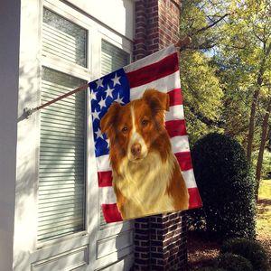 Grande bandiera multicolore in poliestere bandiera rossa bianca bordo Collie bandiera americana cortile Banner Artwork appeso a parete per la manica del portico - Product Image 2