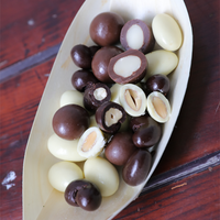 Meilleure Vente Dragées au Chocolat Aromatisées en Gros OEM/ODM HALAL Mélange de Noix d'Amande, de Cajou et de Macadamia enrobées de Chocolat 75G Snacks