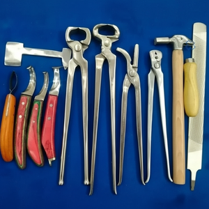 Outils et instruments de ferme équine en acier inoxydable, ensemble de 11 pièces - Product Image 1