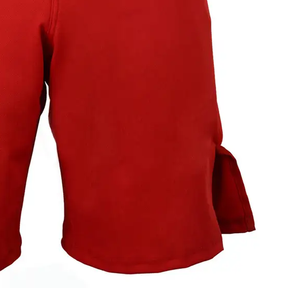Shorts MMA pour hommes en gros, shorts MMA légers pour hommes, dernier design, logo personnalisé, shorts MMA - Product Image 4