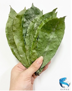 Thé minceur à base de feuilles de corossol séchées 100% naturelles de qualité supérieure, 25 sachets de thé, 50g, en provenance du Vietnam, EXPAD CO, Ho Chi Minh City - Product Image 5
