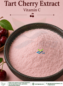 Suministro directo de fábrica HGO Extracto de cereza ácida natural puro (grado alimenticio) Especificación Vitamina C 17% - 90% (extracto estandarizado) - Product Image 1