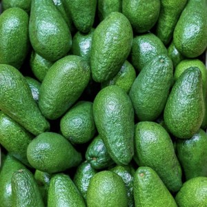 Aguacates Frescos Premium Variedad Fuerte, Tropicales y Subtropicales, 100% Naturales, Cremosos, Origen Austria, 10 kg/caja, Precio al por Mayor - Product Image 6