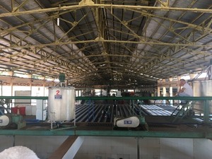 น้ำยางแอมโมเนียเข้มข้น60% 62% สูง (ฮาลาเท็กซ์) เกรดทางการแพทย์และออปติคอล ISO 9001การรับรองจากเวียดนาม - Product Image 3