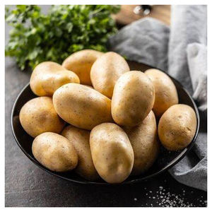 Proveedor Mayorista de Patatas Frescas de Primera Calidad para Importadores - Product Image 1