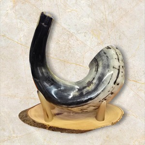 Auténtico Cuerno Shofar de Carnero, Precio Accesible, Hecho a Mano, Cuerno Religioso para Ceremonias y Oraciones - Product Image 4
