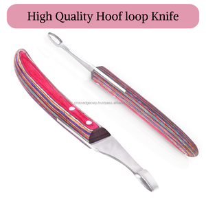 ปากีสถานฟาร์เรียร์อุปกรณ์ที่ดีที่สุดอัณฑะห่วงมีดเครื่องมือตัดมีดเหลา Hoof Care ตัดทําความสะอาดด้ามไม้ - Product Image 3