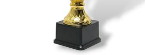 Trophée métallique sur mesure prêt à l'exportation pour la reconnaissance au travail, les cérémonies de récompense des employés et les célébrations d'entreprise – Trophée d'honneur - Product Image 4