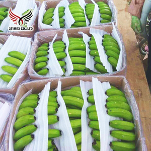 Plátanos Cavendish de Vietnam de alta calidad, agricultura fresca dulce natural, exportación de frutas, venta al por mayor, suministro directo de granja, estante de 40 días - Product Image 1