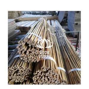 PALO DE BAMBÚ ECOLÓGICO EN OFERTA |   Caña de Bambú Natural Tratada y Hecha a Mano para Exportación a Granel BLUE LOTUS FARM, Diámetro de 1-4m - Product Image 1