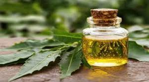 Aceite de Neem 100% Puro, Natural, Orgánico, Prensado en Frío, Extraído de Semillas, Grado Cosmético, Sin Adulterar - Product Image 2