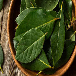 Hoja de Laurel India Seca de Nueva Temporada, Rico Aroma Herbal, 24 Meses de Vida Útil, para Suministro al por Mayor, Importadores Internacionales de Especias - Product Image 4