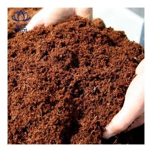 Bloc de tourbe de coco compressé de qualité supérieure, faible teneur en EC, fibres propres pour l'agriculture hydroponique et le mélange de terreau - Product Image 4