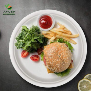 Platos de bagazo compostables y sin residuos, hechos de pulpa de caña de azúcar para restaurantes y puestos de comida y aperitivos. - Product Image 4