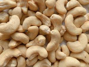 Vietnam Premium <b>Cashew</b> <b>Nuts</b> W320 W240 W180 | Raw & Roasted <b>Cashew</b> Kernels | Factory Wholesale Export - Ms. Tarina - Product Image 6