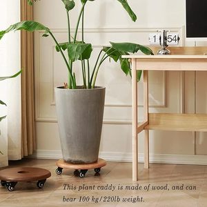 Chariot à plantes en bois robuste avec roues, déplaceur de pots ronds, chariot à plantes pour pots d'intérieur et d'extérieur - Product Image 6
