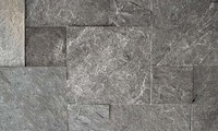Dalles de quartzite gris argenté TSF, sciées sur six côtés, polies, pour revêtement mural et sol, projets extérieurs haut de gamme - Design moderne