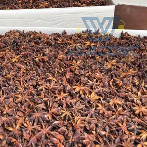 Anís estrellado kosher premium de Yen Bai, Vietnam |   Cosecha de Otoño-Primavera, 13.5% de Humedad |   Caja de Cartón de 7-10 kg |   Celeste VILACONIC - Product Image 6
