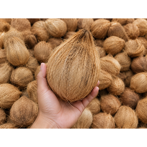 Premium <b>Fresh</b> Export Quality <b>Semi</b> <b>Husked</b> <b>Coconut</b> From Indonesia Food Storage and Container - Product Image 4