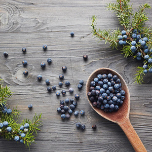 Wholesale Supply For Private Label Brands Premium Quality Bulk Natural Dried Juniper Berries 2026 New Season Organic - Product Image 5